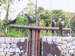 -回龙观体育文化公园