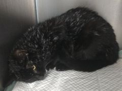 -狗舍宠物医院(四季商业广场店)