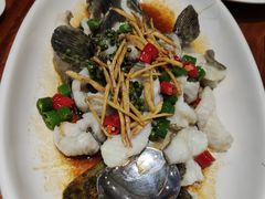 椒麻鱼-顺德了能馆(虎门店)