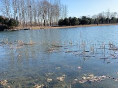 -大兴滨河森林公园