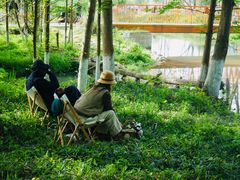 -桤木河湿地公园