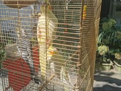 -潇湘·永州会馆(百子湾店)