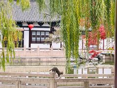 -常熟方塔园