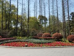 -徐家汇源景区-衡山公园