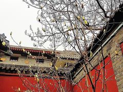 -西安市广仁寺