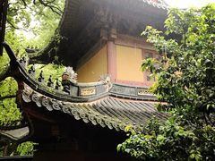 -普陀山风景名胜区-法雨禅寺