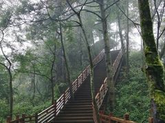 -娄山关景区