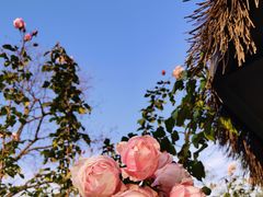 -上方山森林动物世界