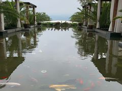 -西昌邛海湾柏樾酒店(原邛海湾柏栎度假酒店)