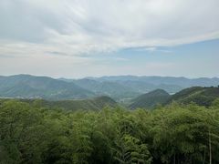-莫干山风景区