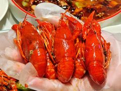 -杨氏青龙虾·羊蝎子(托乐嘉店)