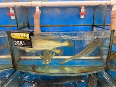-渔中舟海鲜大排档(普陀沈家门店)