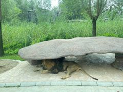 -北京野生动物园