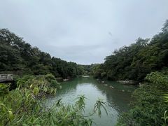 -花溪公园