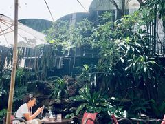 -Fern Forest Cafe
