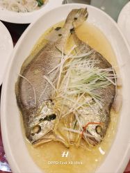 -新城花园酒店·宴会厅