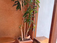 -Radar Coffee(思南路店)