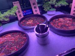 -梨花自助烤肉(乐宾店)