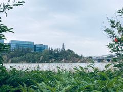 -华侨城湿地公园
