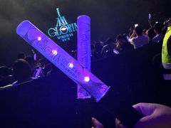 -澳门威尼斯人综合度假区