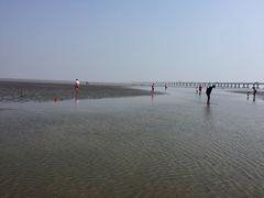 -南汇嘴观海公园