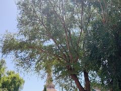 -张掖大佛寺景区