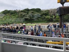 -阿尔卡特拉斯岛