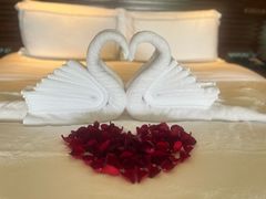 -海南清水湾莱佛士酒店