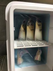-小手拍拍健康管理催乳中心(萧山店)