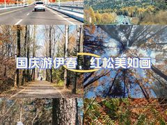 -五营国家森林公园