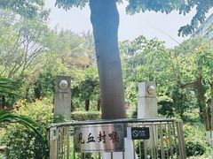 -广州神农草堂中医药博物馆