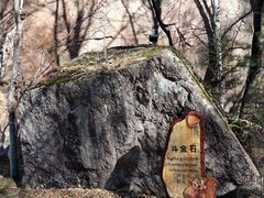 -汤旺河林海奇石景区