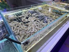 -聚盛源蒸汽海鲜火锅烤肉自助(巨川金海岸购物广场店)