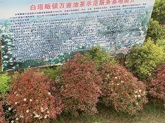 -涵家味土菜馆·徽州一绝臭鳜鱼(三河古镇店)