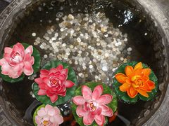-红菜坊·烤鸭·川鲁宴(石园店)