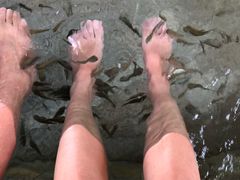 -碧水湾温泉