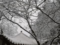 -缙云山景区