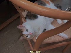 -黑胶星球(华发中城商都店)