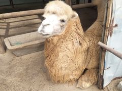 -祥源·阜阳生态乐园