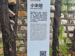 -四门塔风景区
