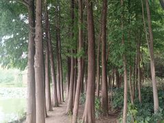 -云龙湖旅游景区