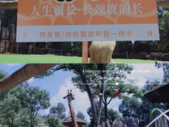 -云南野生动物园