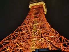 -东京塔海贼王主题公园