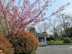 -杭州城北体育公园