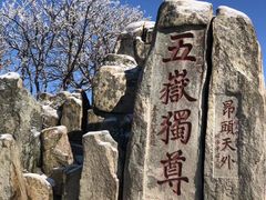 -泰山风景名胜区