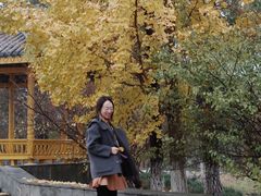-江南大学(蠡湖校区)