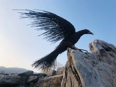 -北京西山国家森林公园