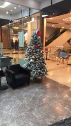 -HairCode芭曲发型