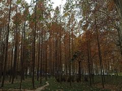 -河南省黄河迎宾馆