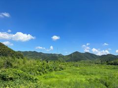-莫干山风景区